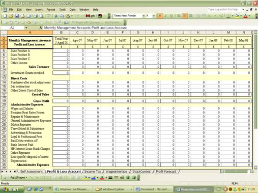 Monthly profit and loss account showing income, cost of sales, and expenses broken down by month