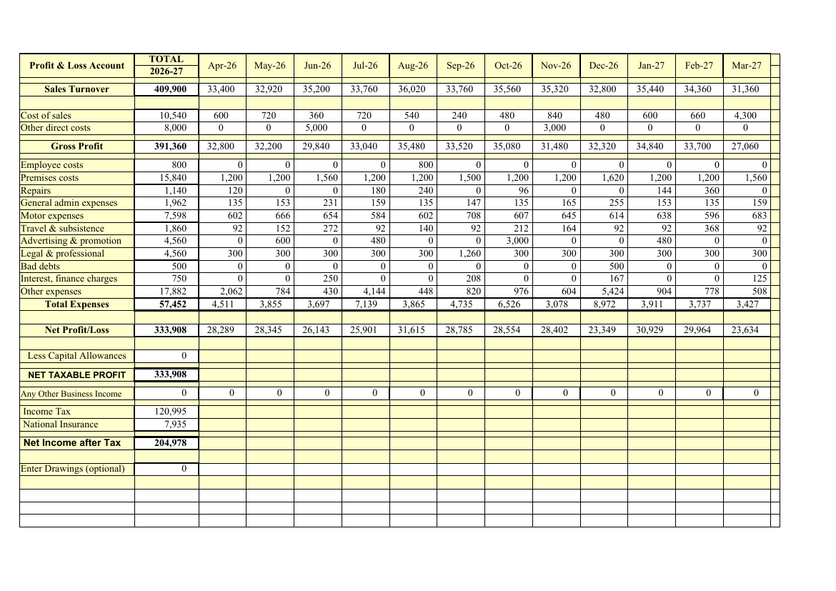 Profit and loss account sheet of the populated workbook