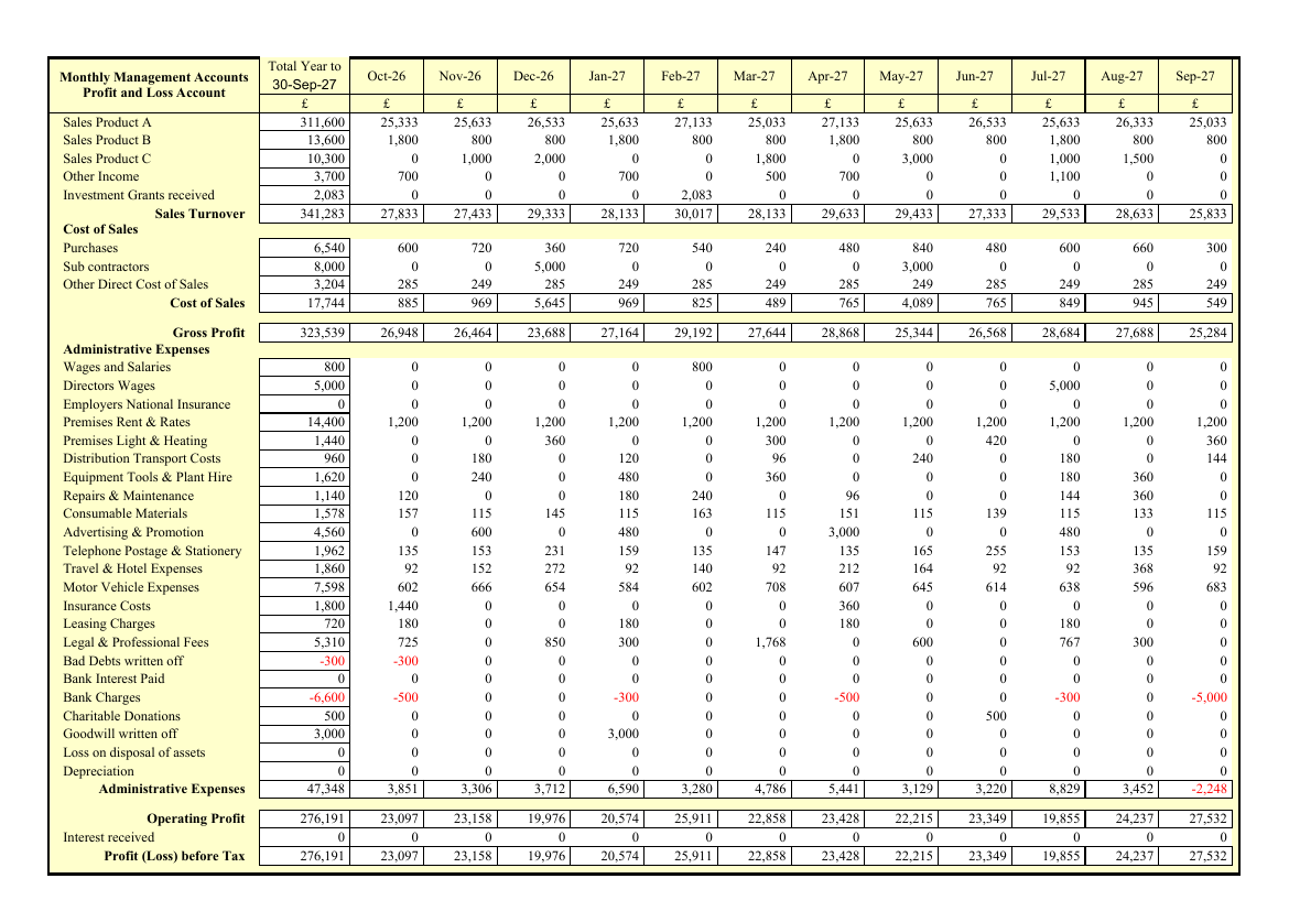 Monthly profit and loss sheet of the populated workbook