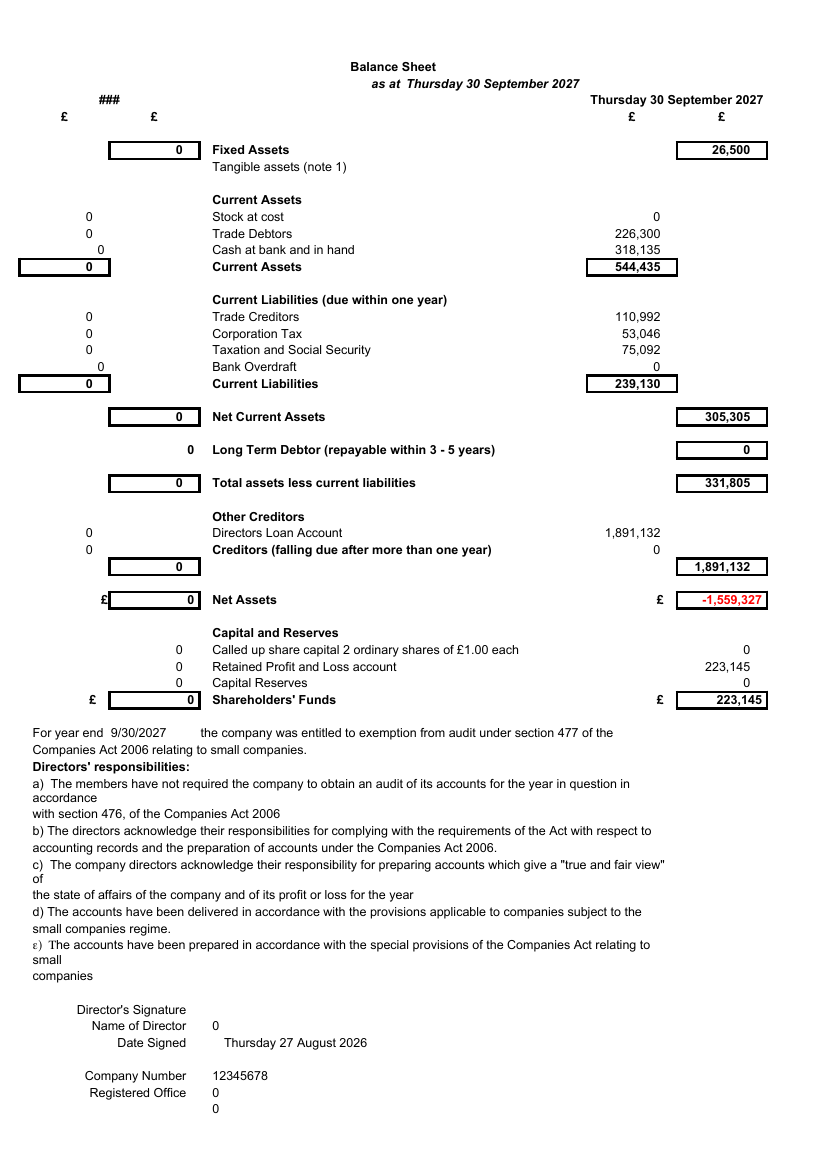 Published balance sheet sheet of the populated workbook