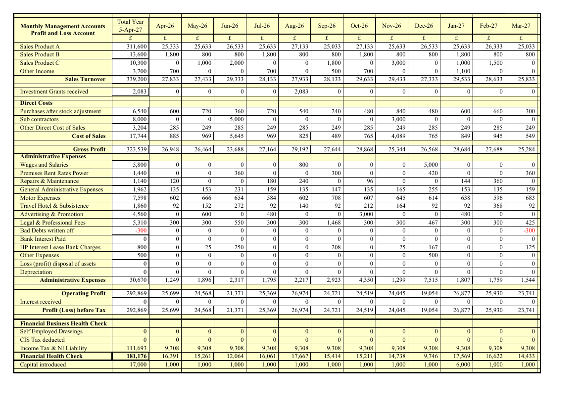 Profit and loss account sheet of the populated workbook