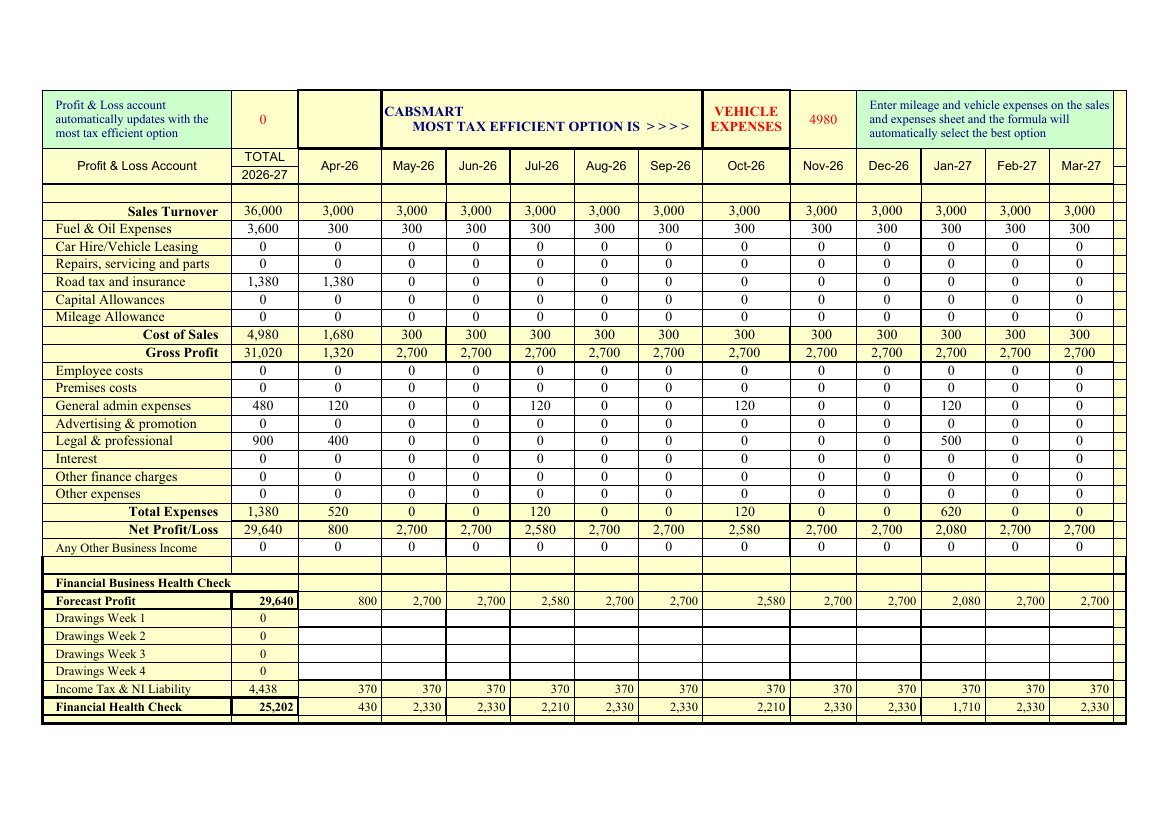 Profit and loss account sheet of the populated workbook